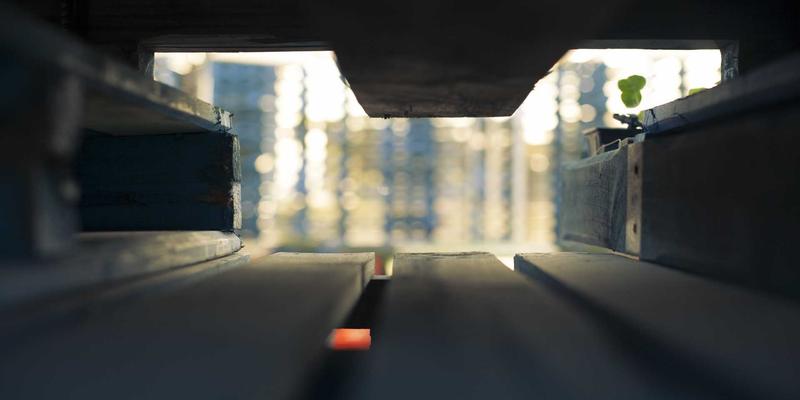 从0到1的品牌全案孵化：初创企业如何系统化打造强势品牌