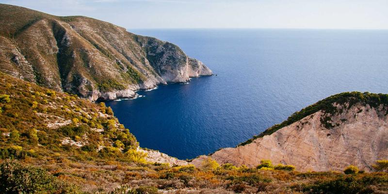 品牌全案策划35：以禅意设计重塑视觉识别，赋能品牌深度价值