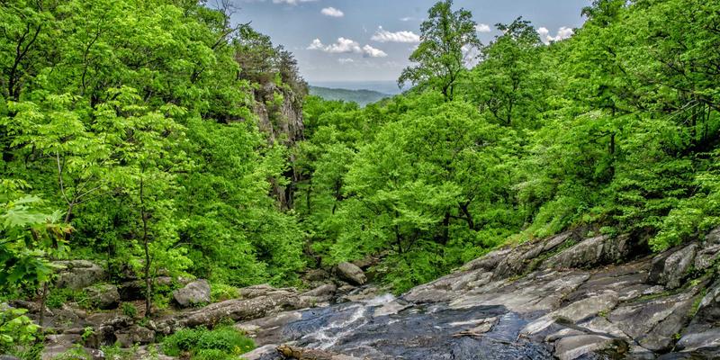 品牌全案策划56：视觉识别与品牌战略的深度整合之道