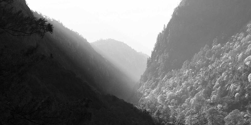 品牌全案策划99:以视觉识别为引擎,驱动品牌升级的系统化战略