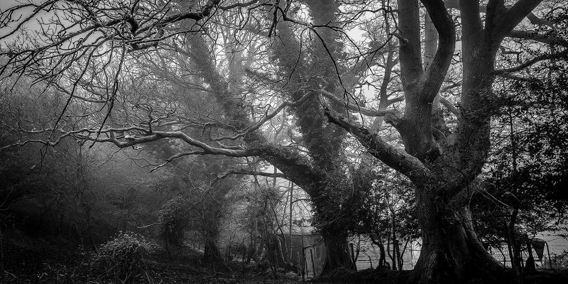 品牌全案策划的伦理维度：如何将社会责任与可持续发展融入品牌战略与升级