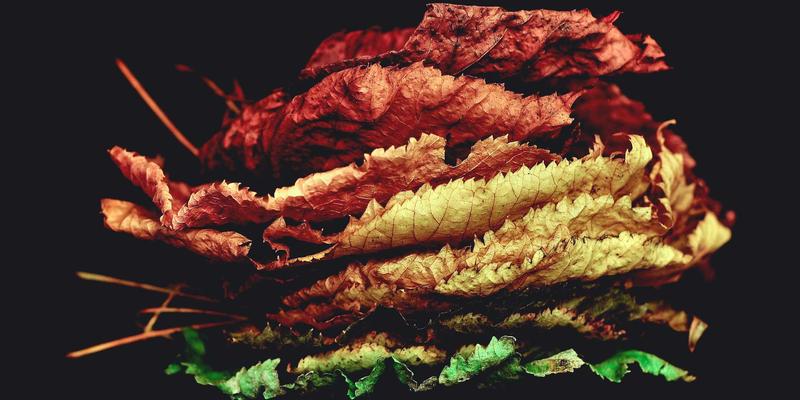 品牌全案策划解密：如何通过视觉识别与品牌战略构建市场护城河