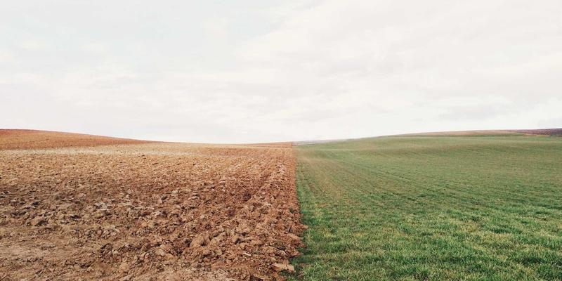 品牌升级与视觉识别系统构建：品牌全案策划的20个核心维度