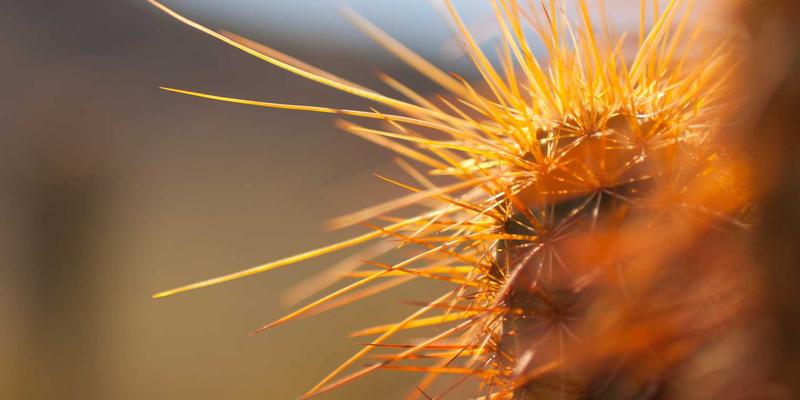 品牌升级新境界:如何以禅意设计重塑视觉识别,赋能品牌全案策划