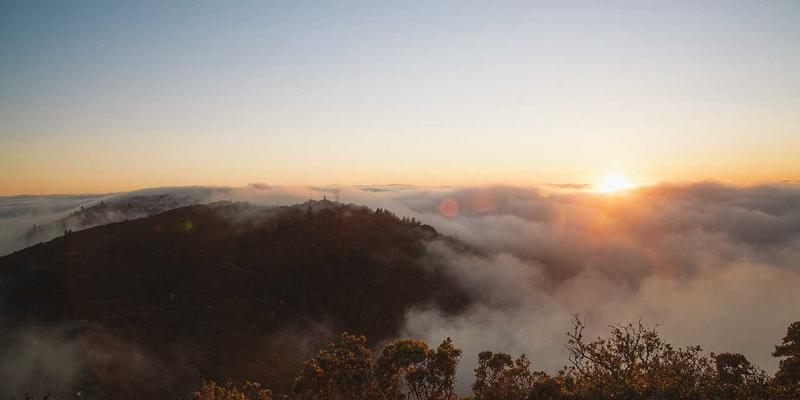 品牌升级新路径：禅意设计思维下的品牌延伸与子品牌战略管理