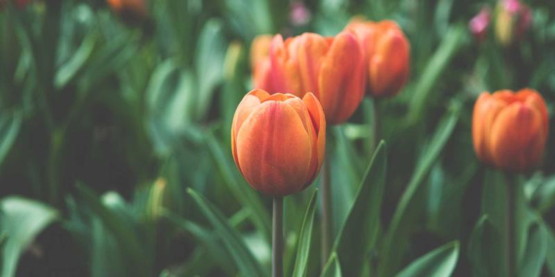 年度品牌全案策划预算如何科学分配？视觉识别与品牌升级效果评估指南