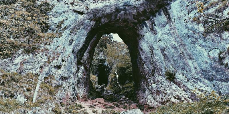 技术赋能品牌全案：当禅意设计遇见AI与大数据驱动的品牌战略