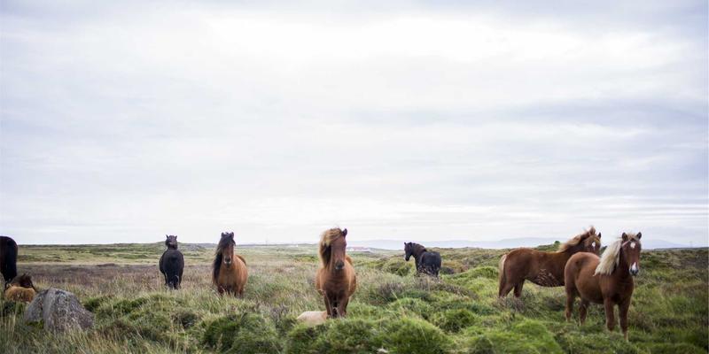 禅意设计如何赋能品牌全案策划：在喧嚣市场中构筑宁静致远的品牌境界
